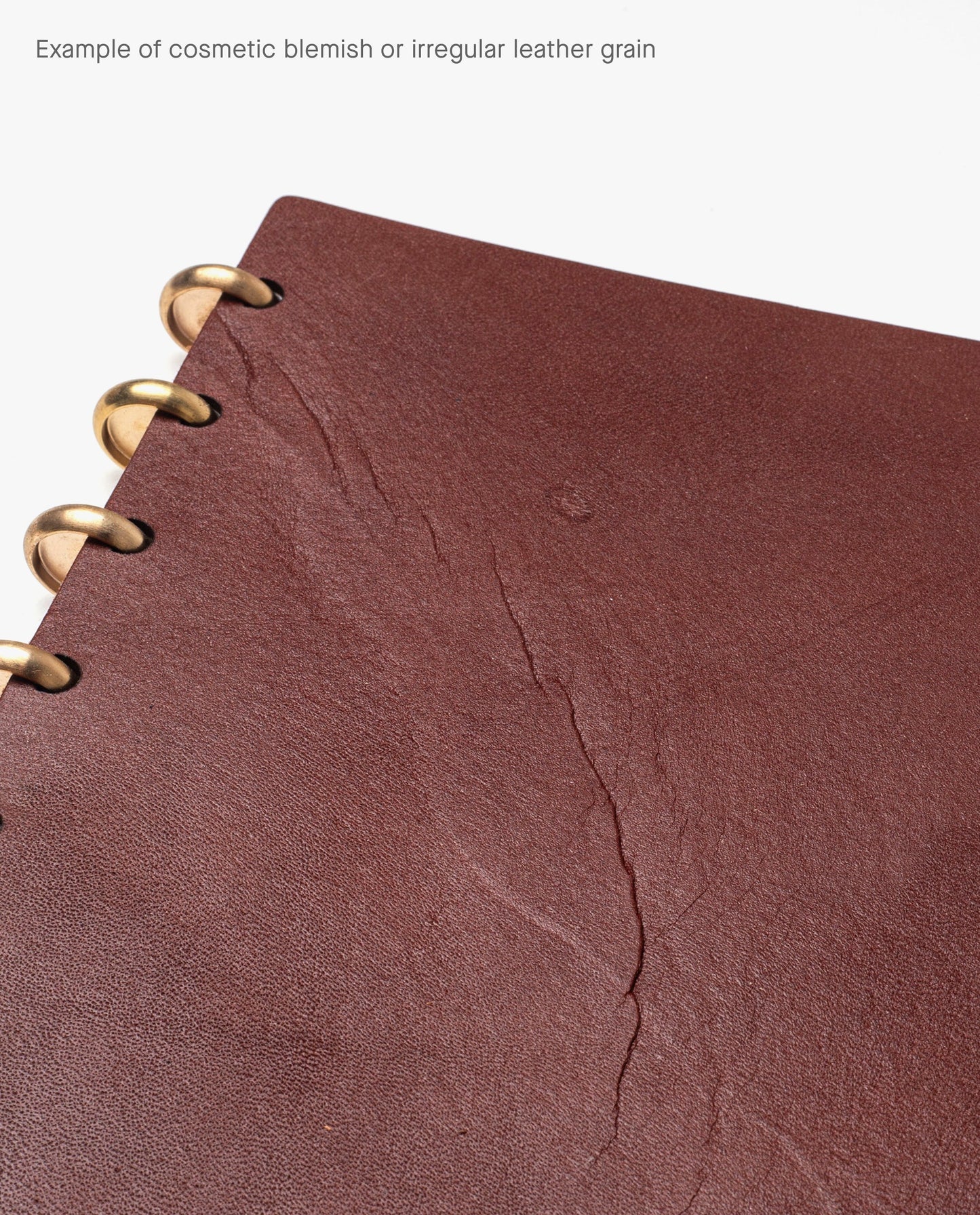 Warehouse Item - Discbound Heirloom Journal (Brown/Brass)